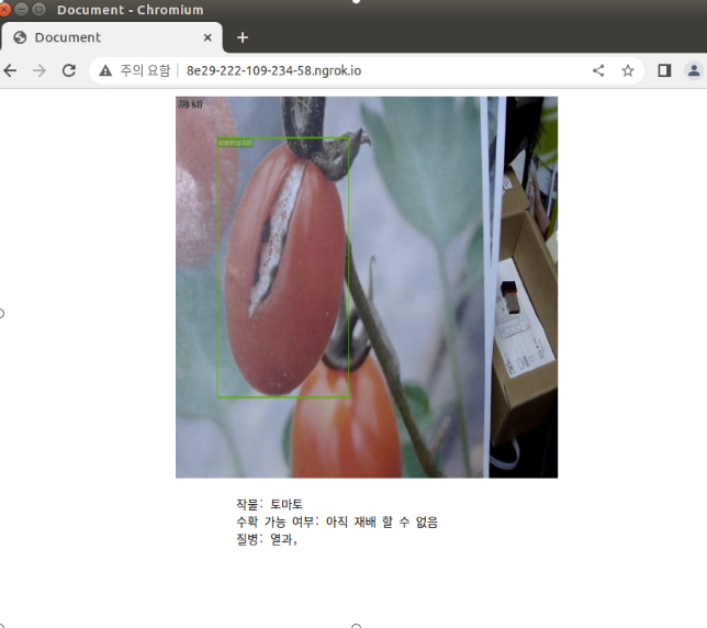 서비스 이미지